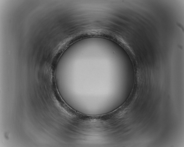 X0000099950637200805231002
