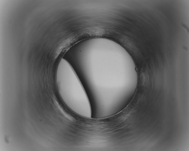 X0000099950638200805231002