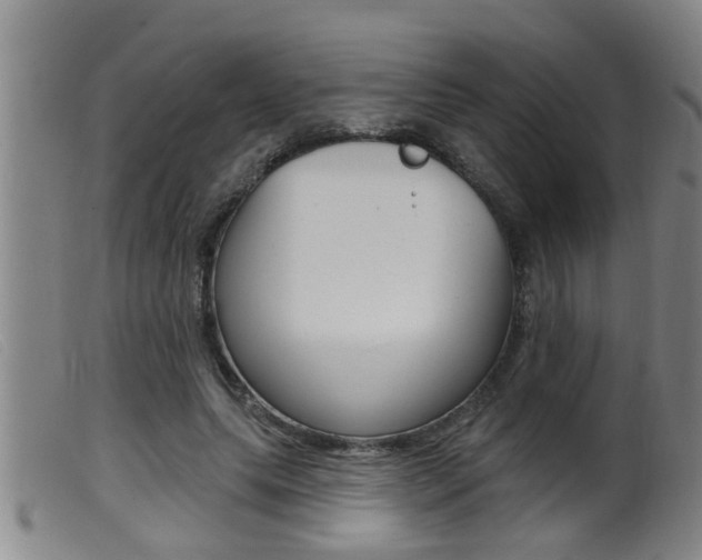 X0000099950639200805231002