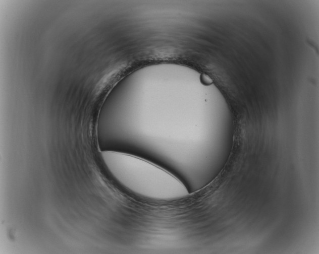 X0000099950640200805231002