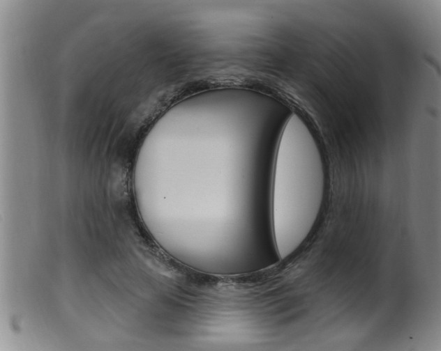X0000099950641200805231002