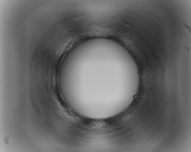 X0000099950642200805231002