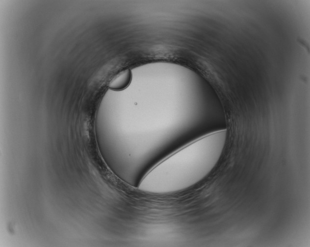 X0000099950643200805231002
