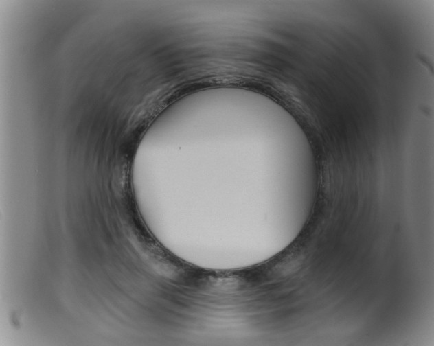 X0000099950645200805231002