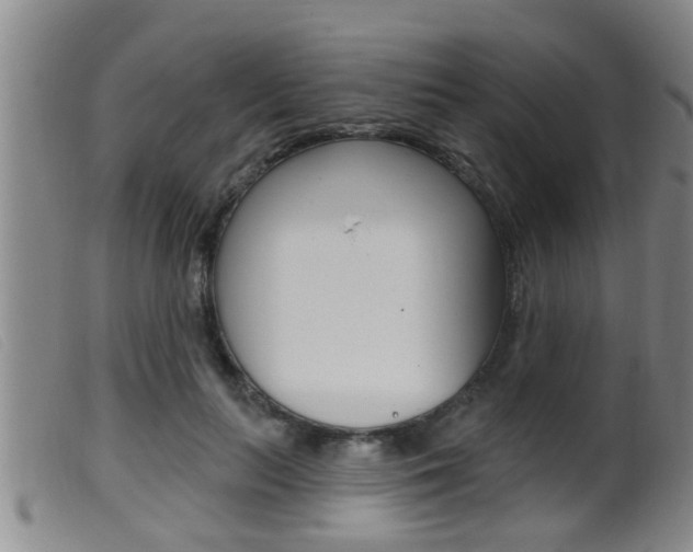 X0000099950647200805231002