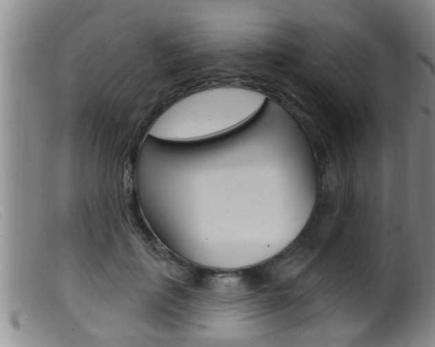 X0000099950651200805231002