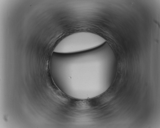 X0000099950652200805231002