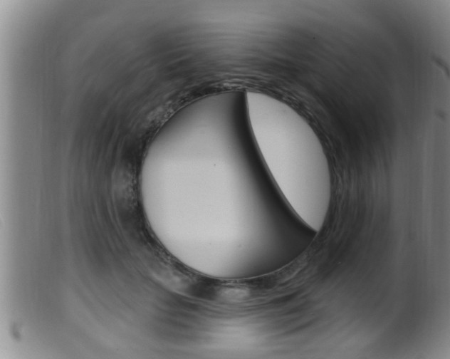 X0000099950653200805231002