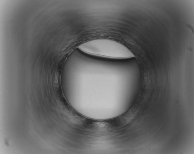 X0000099950654200805231002