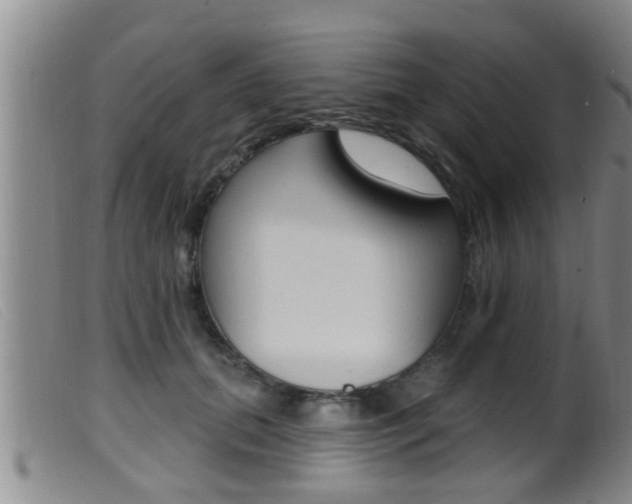 X0000099950655200805231002