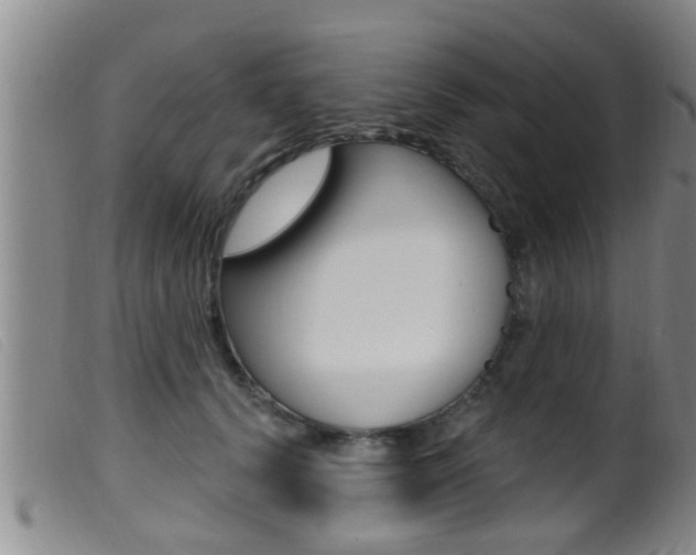 X0000099950656200805231002