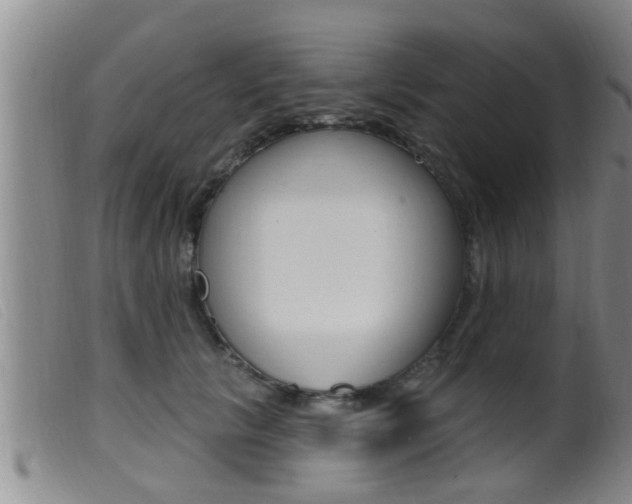 X0000099950657200805231002