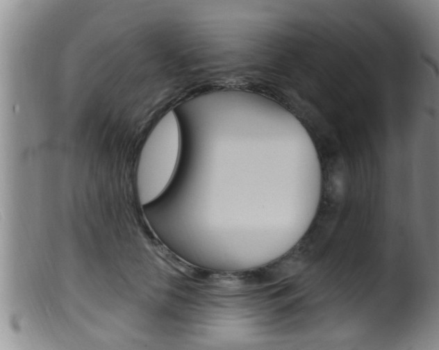 X0000099950658200805231002
