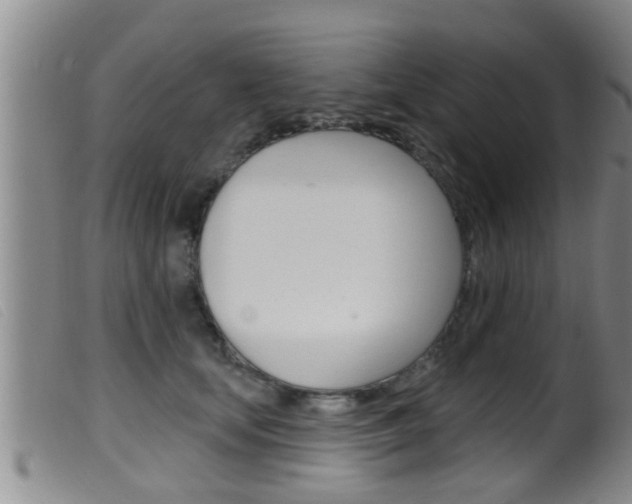 X0000099950659200805231003