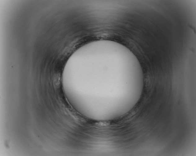 X0000099950660200805231003
