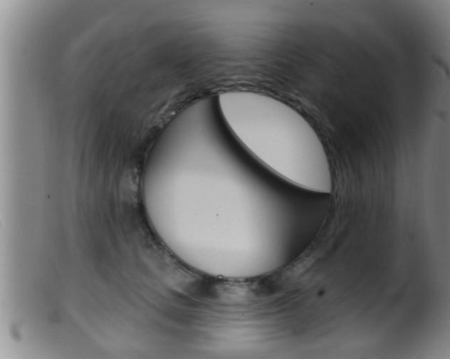 X0000099950661200805231003