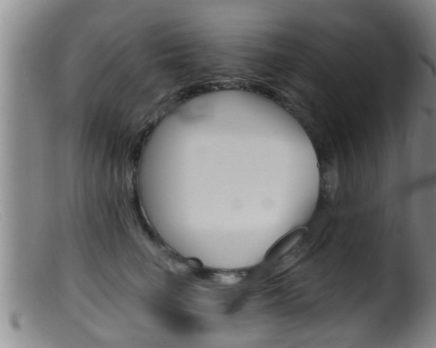 X0000099950662200805231003