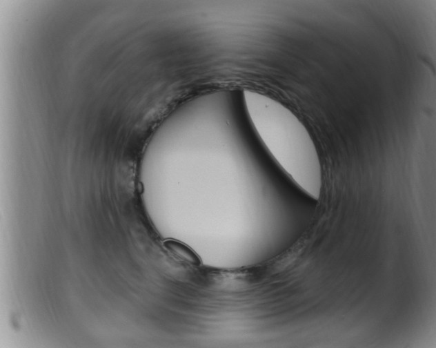 X0000099950664200805231003