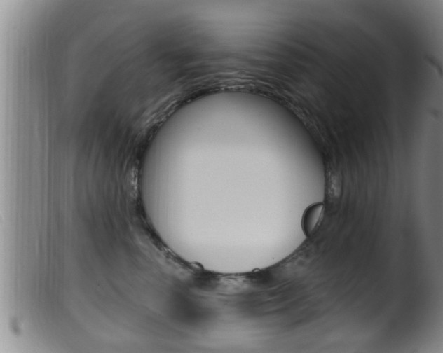 X0000099950666200805231003
