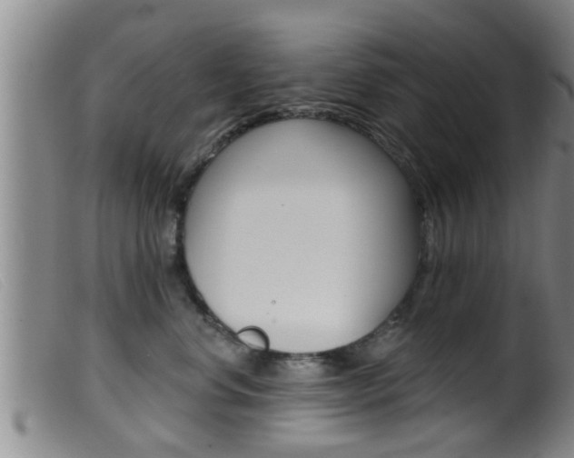 X0000099950668200805231003