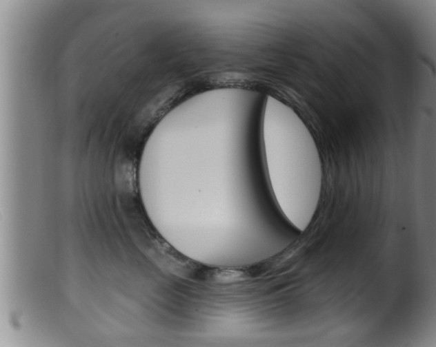 X0000099950669200805231003