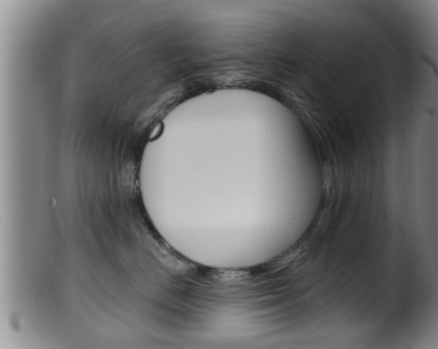 X0000099950670200805231003