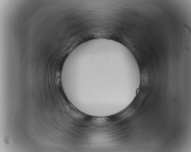 X0000099950671200805231003