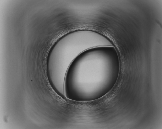 X0000099950673200805231002