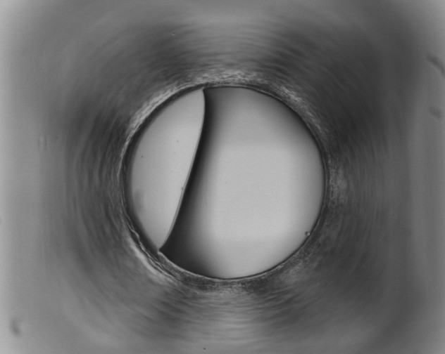 X0000099950674200805231002