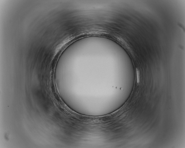 X0000099950675200805231002