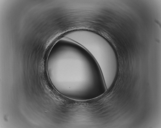 X0000099950676200805231002
