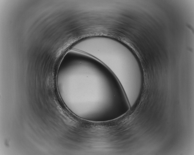 X0000099950677200805231002