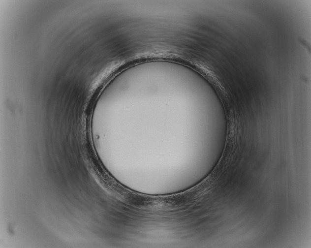 X0000099950678200805231002