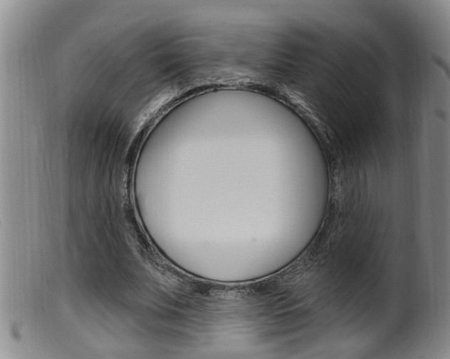 X0000099950679200805231002