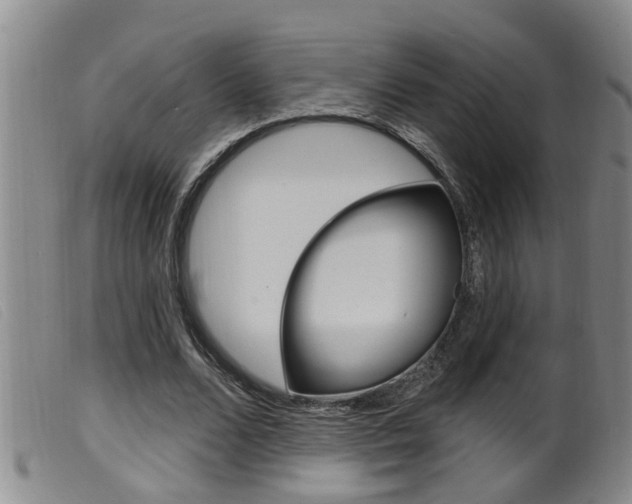 X0000099950680200805231002