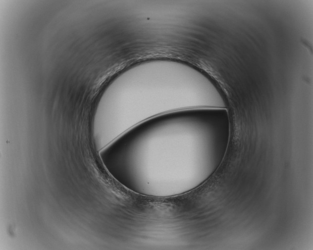X0000099950681200805231002