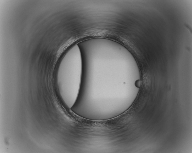 X0000099950682200805231002