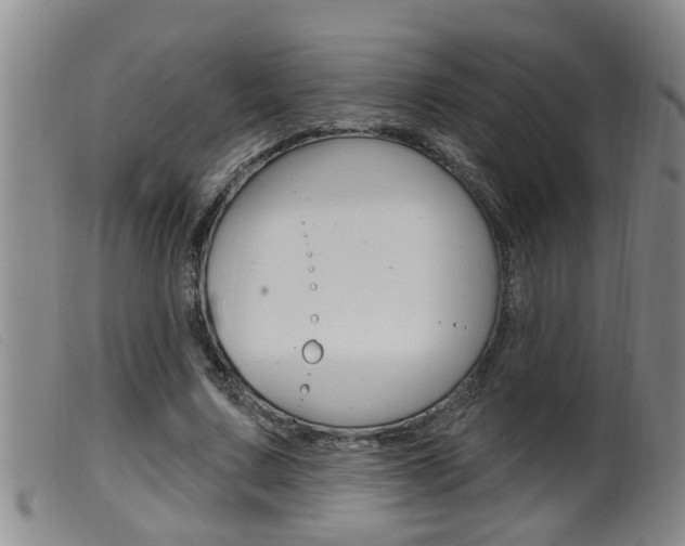 X0000099950683200805231002