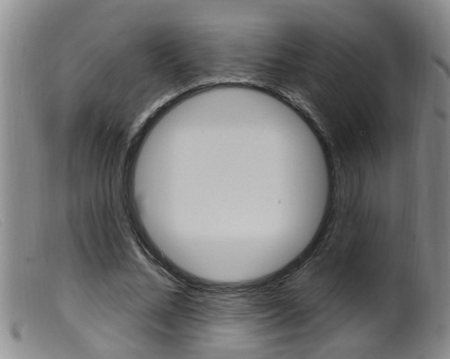 X0000099950684200805231002