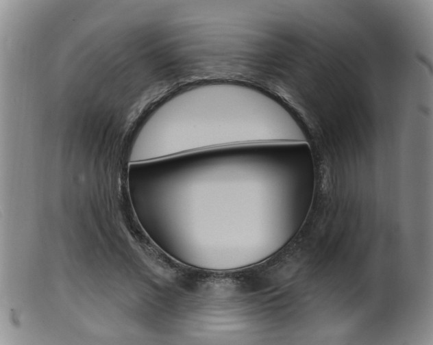 X0000099950685200805231002