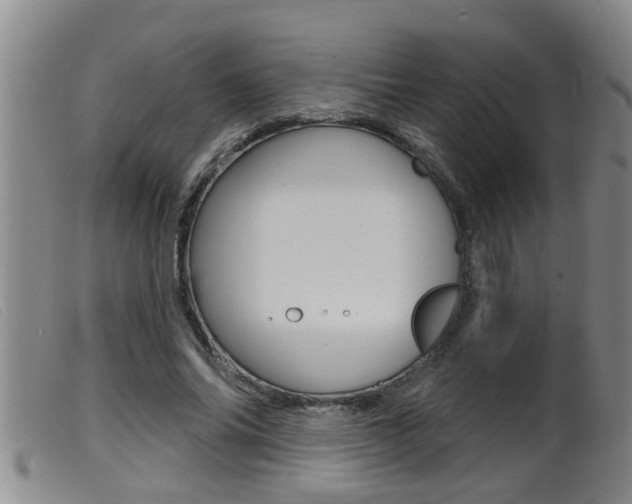 X0000099950686200805231002