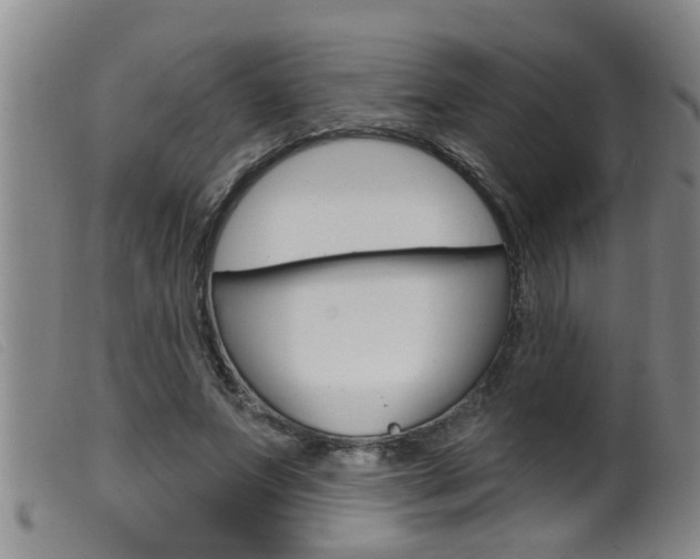 X0000099950687200805231002
