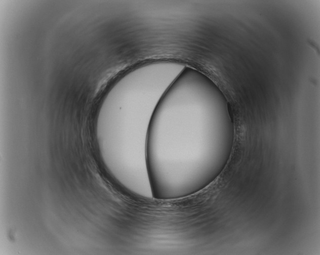 X0000099950688200805231002