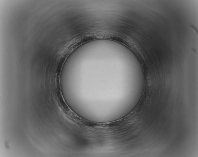 X0000099950690200805231002