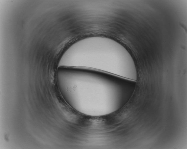 X0000099950693200805231002