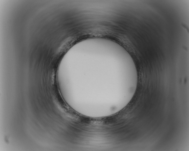 X0000099950694200805231002