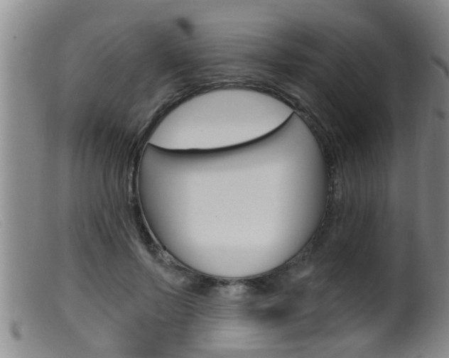 X0000099950695200805231002