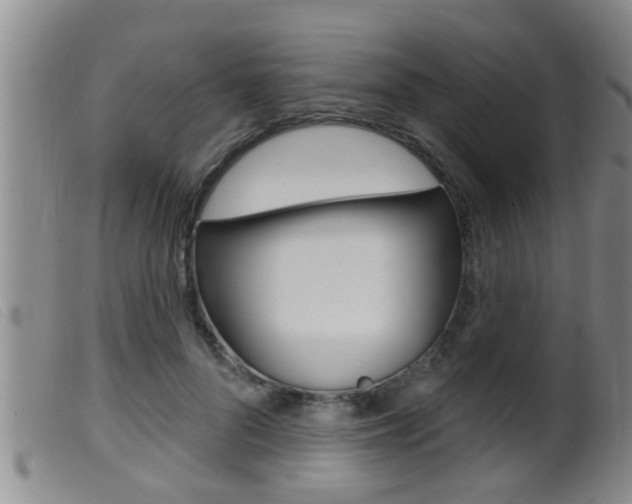 X0000099950696200805231002