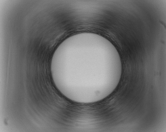 X0000099950697200805231002