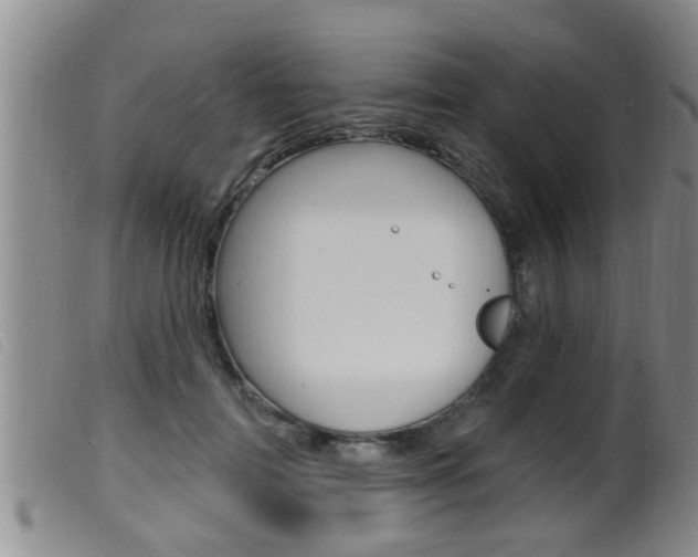 X0000099950698200805231002